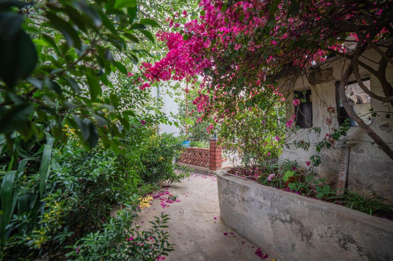 Central House With Beautiful Garden อัมมาน ภายนอก รูปภาพ